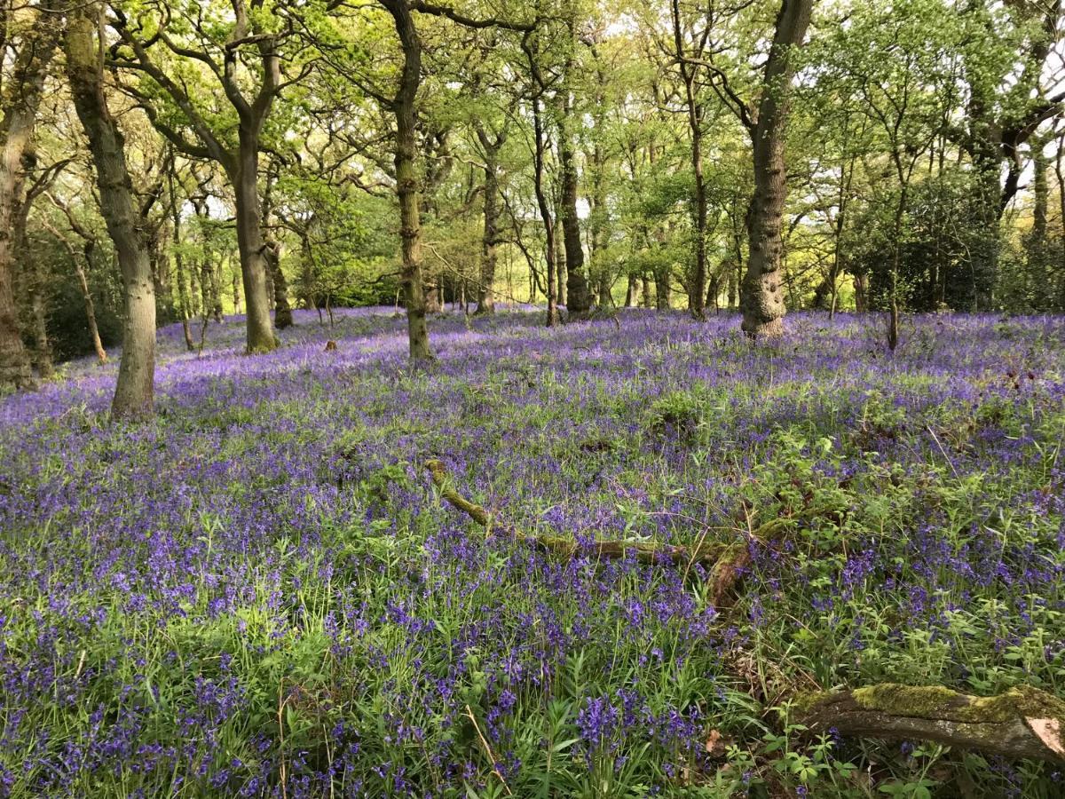 Bluebell Bell Tent The Roaches Upper Hulme Exterior photo